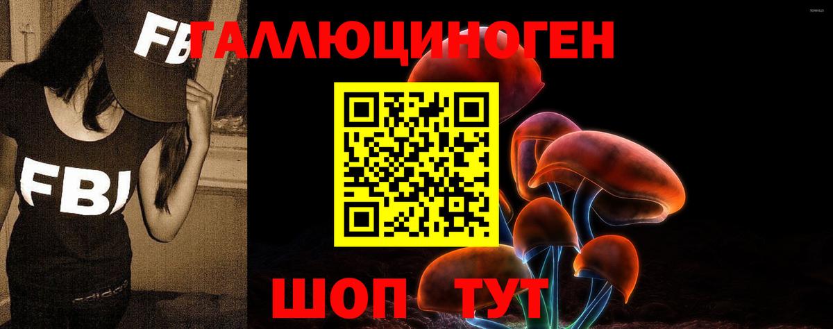 Псилоцибиновые грибы Psilocybine cubensis  Вход с VPN  Норильск 